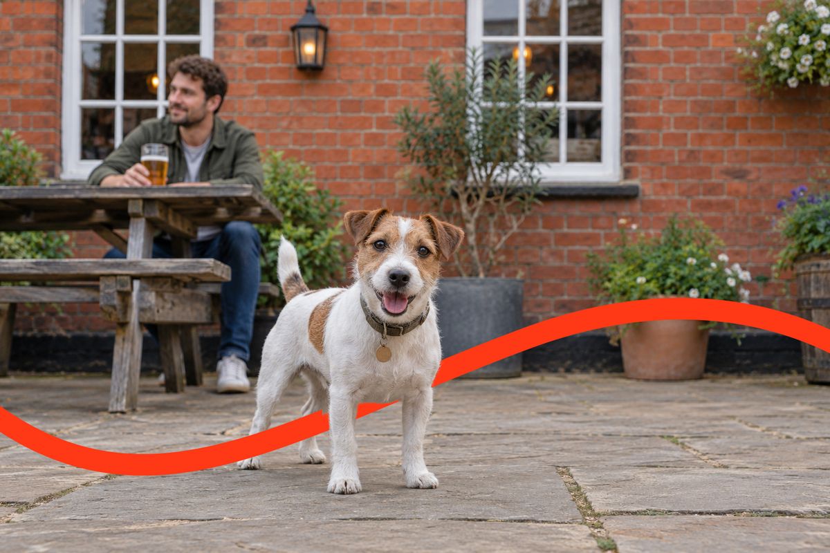 Jack Russell Terrier insurance hero image showing a Jack Russell Terrier in a pub beer garden with its owner at a picnic bench